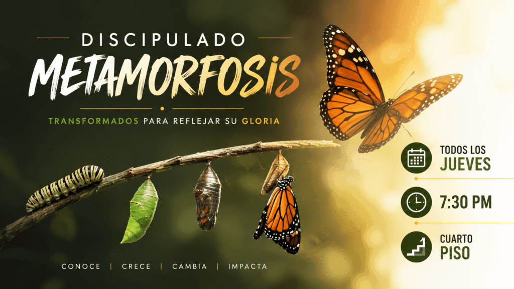 Metamorfosis June